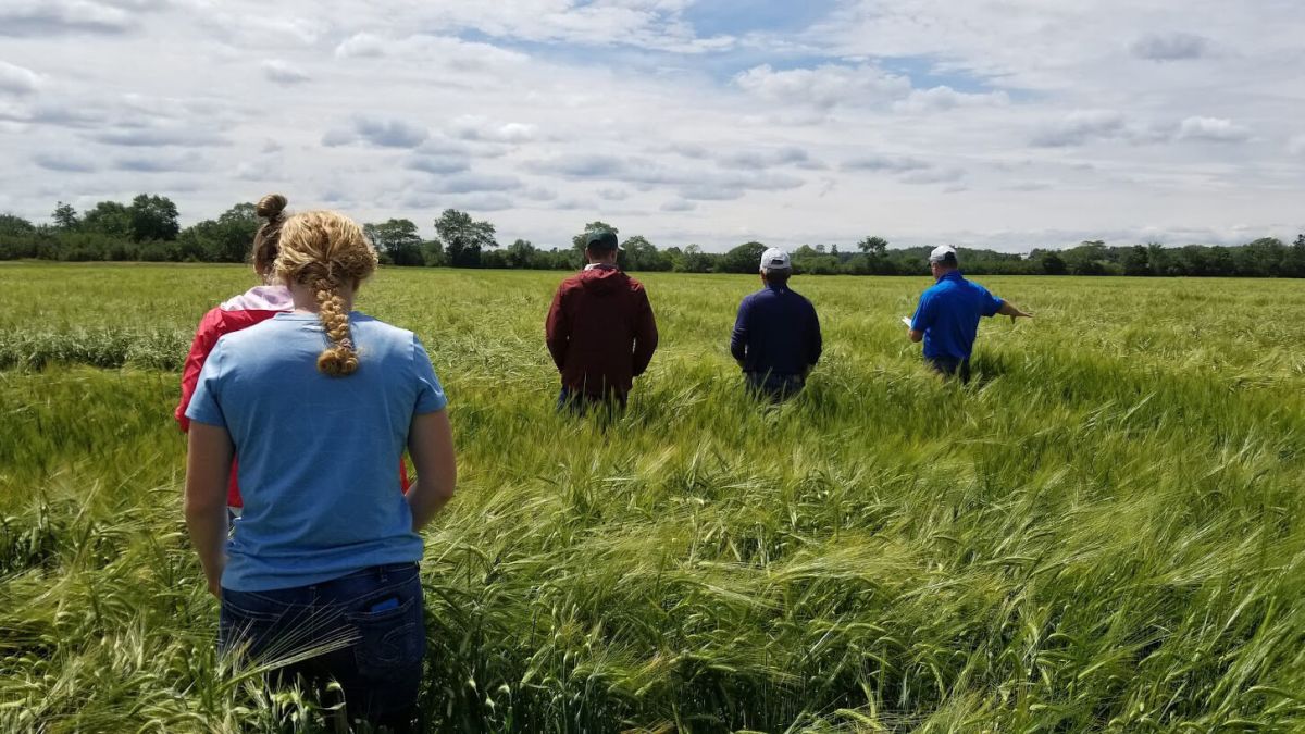 Crop advisors looking at the pasture with customers on a crisp day with blue skies