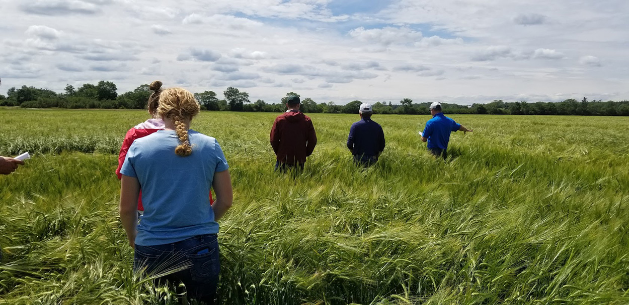 Crop advisors looking at the pasture with customers on a crisp day with blue skies